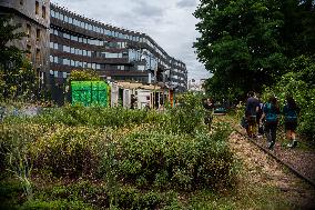 Paris Gets Greener For The Olympics