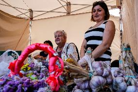 Galicia Garlic Festival Lesser Poland Region