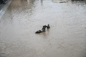Pier Sculpture Flooded in Jilin