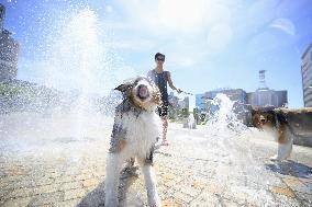 Summer heat in Japan