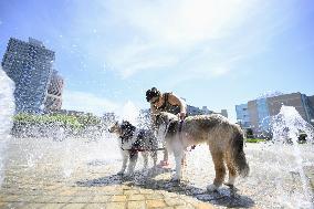 Summer heat in Japan