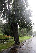 Rain and storm in Riga