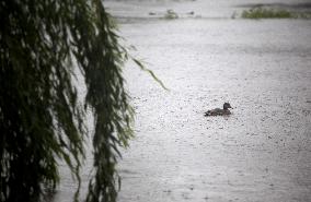 Rain and storm in Riga