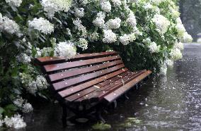 Rain and storm in Riga