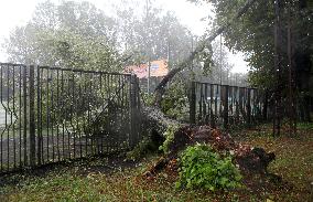 Rain and storm in Riga