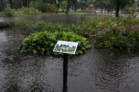 Rain and storm in Riga