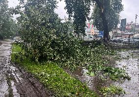 Rain and storm in Riga