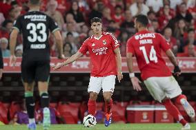 Eusebio Cup: Benfica vs Feyenoord