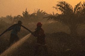 Firefighters Battle Peatland Fires In Indonesia