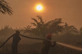 Firefighters Battle Peatland Fires In Indonesia