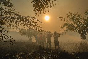 Firefighters Battle Peatland Fires In Indonesia