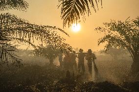 Firefighters Battle Peatland Fires In Indonesia