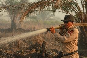 Firefighters Battle Peatland Fires In Indonesia