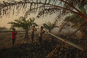 Firefighters Battle Peatland Fires In Indonesia