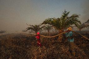 Firefighters Battle Peatland Fires In Indonesia