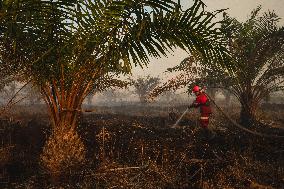 Firefighters Battle Peatland Fires In Indonesia