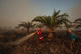 Firefighters Battle Peatland Fires In Indonesia