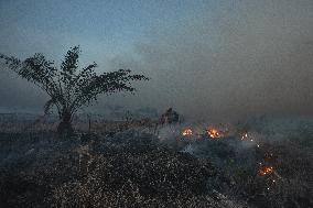 Firefighters Battle Peatland Fires In Indonesia