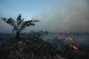 Firefighters Battle Peatland Fires In Indonesia