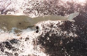 (PARIS2024) FRANCE-PARIS-OLY-SWIMMING