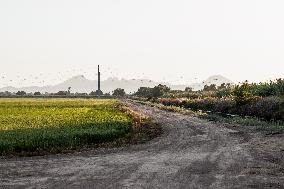 Smoke From The Park Fire Blankets Rice Fields Near Marysville, Calif., On Sunday, July 28, 2024.