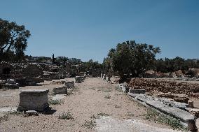 Ancient Greek Cities Located On The Aegean Sea Coast Of Turkiye