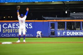 MLB Minnesota Twins Vs New York Mets