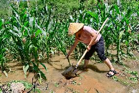 Farmland Waterlogging