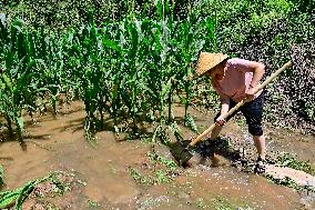 Farmland Waterlogging