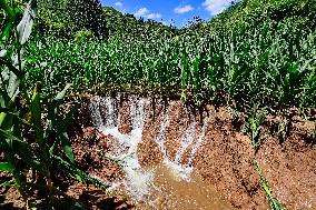 Farmland Waterlogging