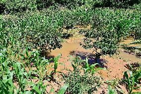 Farmland Waterlogging