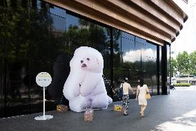 Dog Art Installation