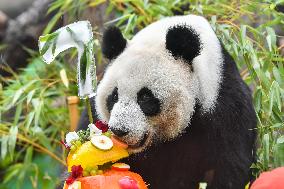 RUSSIA-MOSCOW-GIANT PANDA-BIRTHDAY