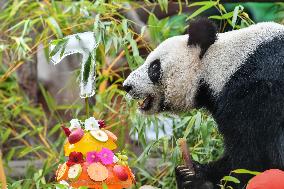 RUSSIA-MOSCOW-GIANT PANDA-BIRTHDAY