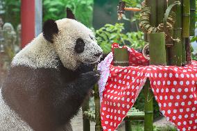 RUSSIA-MOSCOW-GIANT PANDA-BIRTHDAY