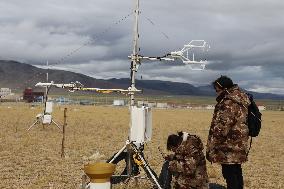 CHINA-QINGHAI-XIZANG PLATEAU-CARBON SINK (CN)