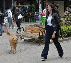 T?RKIYE-ANKARA-STRAY DOGS-LAW