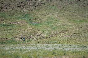 ChineseToday | Chinese expedition team braves river headwaters