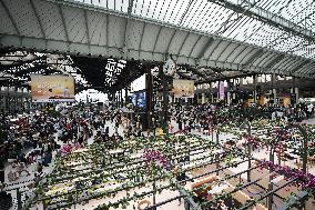 Gare de Lyon in Paris FA