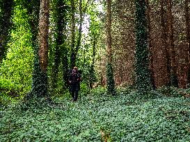 Hiking The Ireland Way, From South To North.