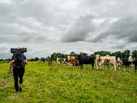 Hiking The Ireland Way, From South To North.