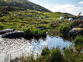 Hiking The Ireland Way, From South To North.