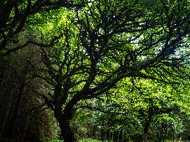 Hiking The Ireland Way, From South To North.