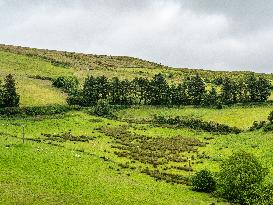 Hiking The Ireland Way, From South To North.