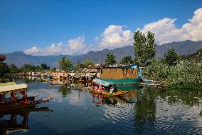 Hot Weather In Kashmir