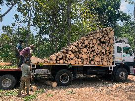 Daily Life In Kerala