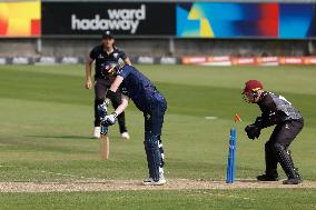 Durham County Cricket Club v Somerset - Metro Bank One Day Cup