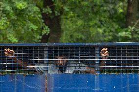 Anti-quota Protest In Dhaka