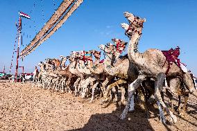 EGYPT-EL ALAMEIN-CAMEL RACE