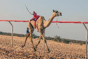 EGYPT-EL ALAMEIN-CAMEL RACE